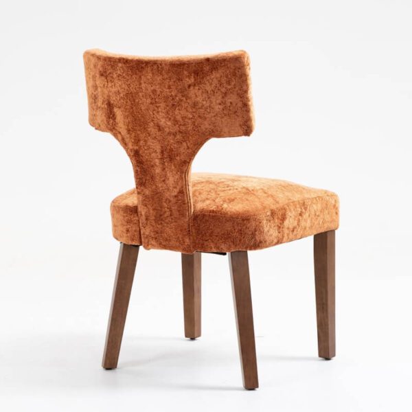 Mid Century Modern Dining Chairs Set of 2