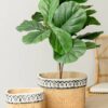 Set of 2 Rectangular Basket Planters with Geometric Trim,