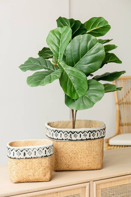 Set of 2 Rectangular Basket Planters with Geometric Trim,