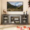 70" Modern TV Stand with 2-Door Storage